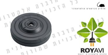 מרחיק חולדות מקירות גבס